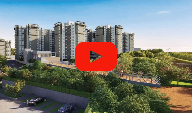 Provident Sunworth City