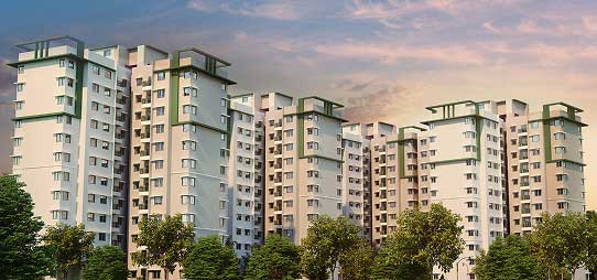 Provident Sunworth City