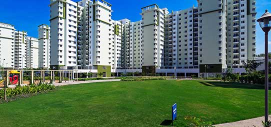 Provident Sunworth City